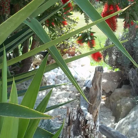 Вилла Dionysus Аргостолион